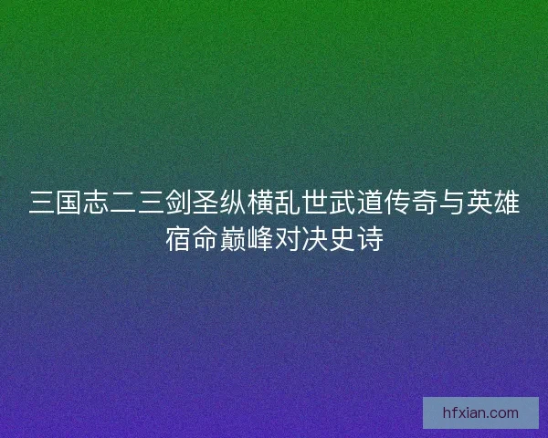 三国志二三剑圣纵横乱世武道传奇与英雄宿命巅峰对决史诗