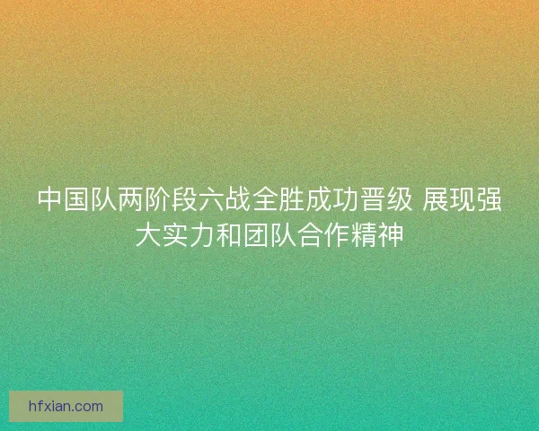 中国队两阶段六战全胜成功晋级 展现强大实力和团队合作精神
